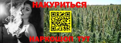 СК Гуково