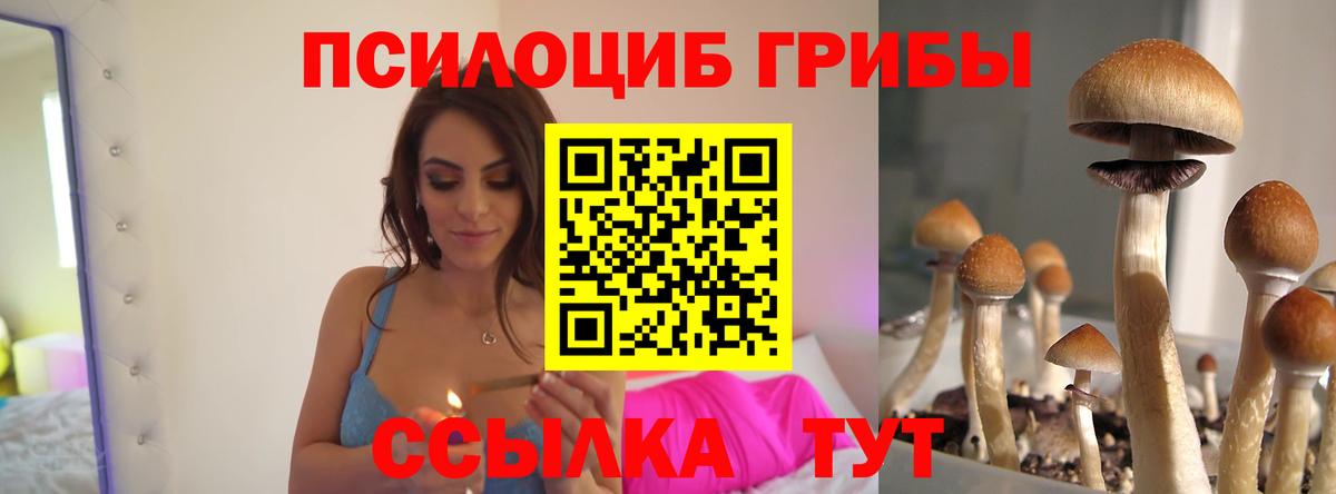 Холмск  Галлюциногенные грибы мухоморы  Вход с VPN 